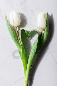 两个新的郁金香造就了心脏形状爱与周年庆典平躺着图片