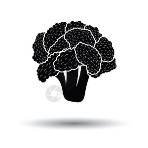 杂货店图标设计Cauliflower图标白色背景带有影子设计矢量插图背景