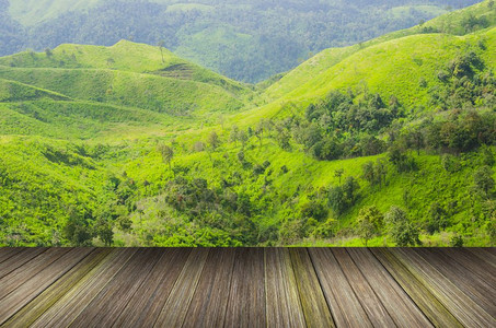 森林山区背景内一个房间的木质纹身背景图片