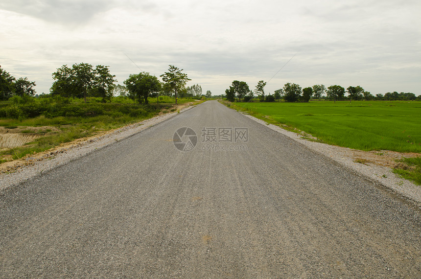 穿越田野的清空农村公路图片