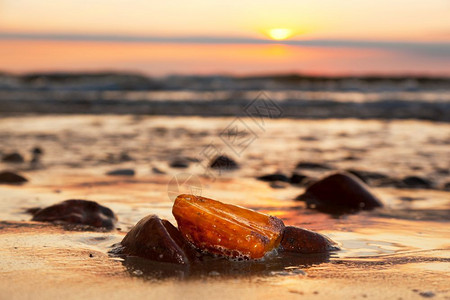 黄昏时在海滩上安眠石珍宝藏概念波兰罗的海图片