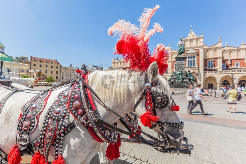 波兰克拉科夫主要老城市场广上的传统马车后面的克洛赫霍尔和米基维茨纪念碑主要老城市场广上的传统马车图片