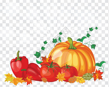 葫芦矢量图感恩节贺卡设计是来自南金胡椒番茄红树与阳光线和火阿尔法的绿叶透明网格非常可爱和温暖的颜色矢量图背景
