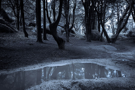 深夜森林旧地的黑夜多雨的高清图片素材