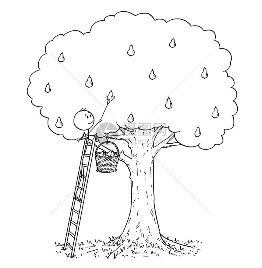 卡通棍子绘制人类站在梯子上和从高梨树采摘水果的概念插图图片