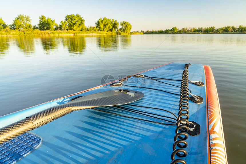 在夏日风景中平静的湖上用包子桨和安全套领带起立用包子桨和安全套领带在平静的湖边起立图片
