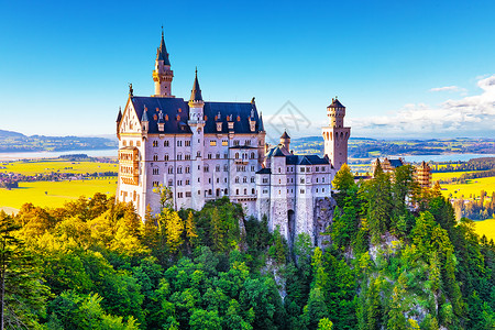 城堡森林德国巴伐利亚州Neuscwanstein城堡夏季景象背景
