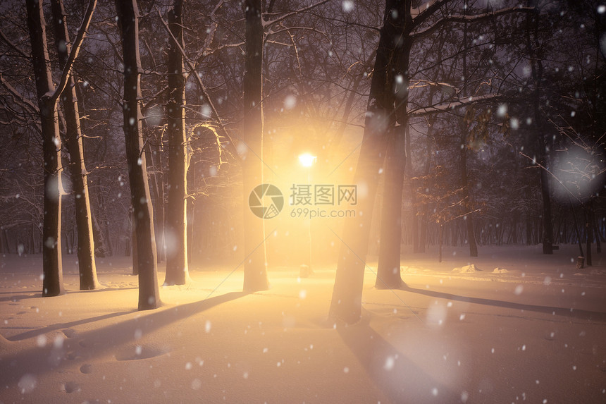 夜间冬季雪瀑布城市的小巷明亮公园图片