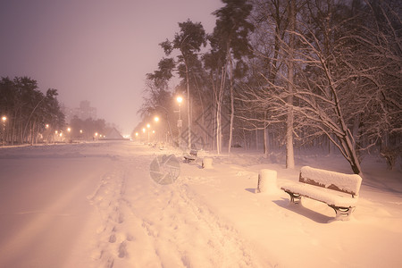 夜间冬季雪瀑布城市的小巷明亮公园街道高清图片素材