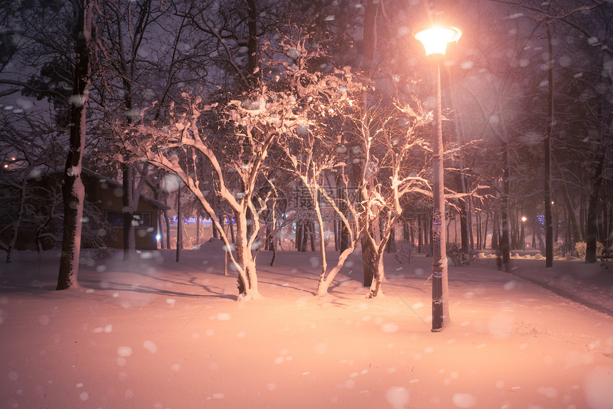 夜间冬季雪瀑布城市的小巷明亮公园图片