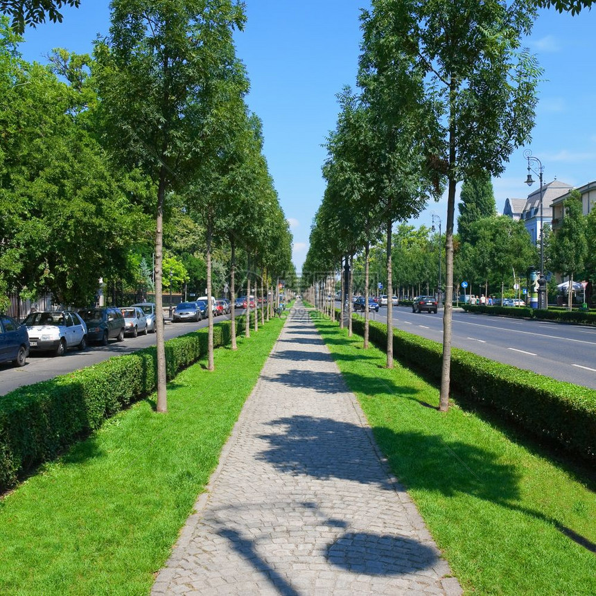 绿色城市小巷图片