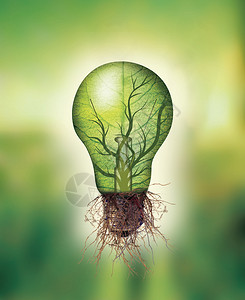 可再生能源概念生态灯泡有叶和树枝根叶子图片