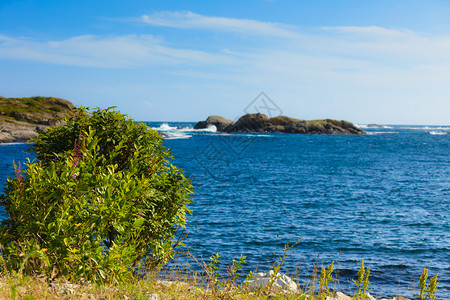 在挪威罗加兰县有海景的挪威南部岩石海岸景观背景图片