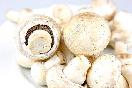 新鲜玉米蘑菇图片