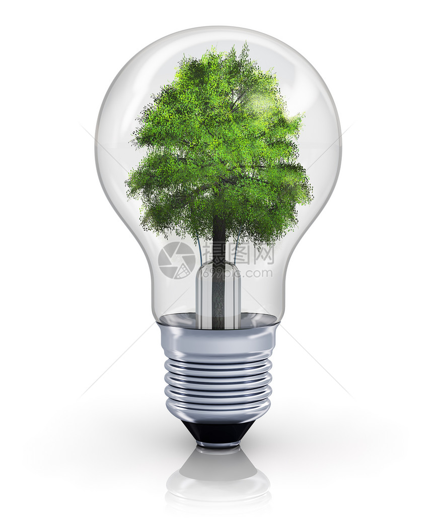 创造生态环境自然保护和节能源概念白种灯泡中的绿树以白色背景隔离产生反射效果图片