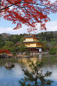 翊坤宫金宫寺的殿红色树叶背景