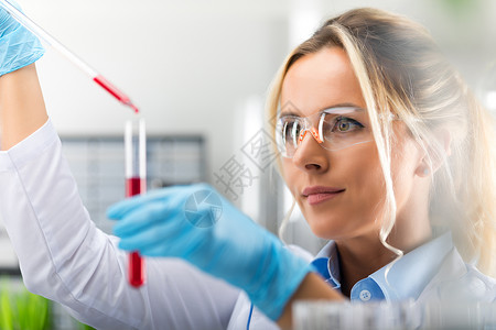 长管年轻有吸引力的女科学家身戴保护眼镜和手套的年轻有吸引力女科学家将红色液体物质丢入试验管在科学化实验室内用长玻璃管子扔入试验背景