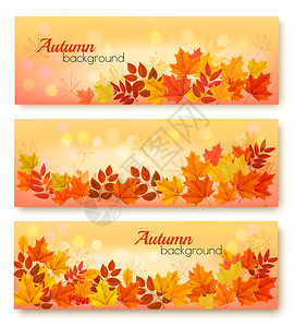 3个秋季销售封条上面有多色叶子背景图片
