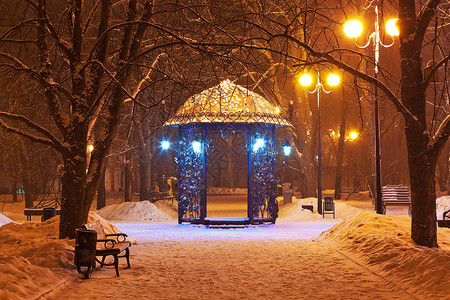 夜间装饰冬季城市公园的风景图片