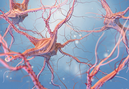 神经中子和系统3D神经细胞转化插图神经和系统图片