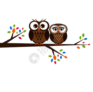 树枝上的两只可爱棕色猫头鹰矢量卡通插图背景图片