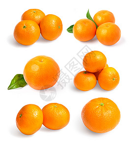 普通话橘子柑白种水果图片