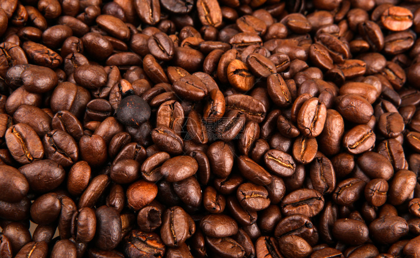 咖啡豆全框架图片