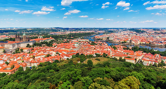 捷克布拉格圣维图斯大教堂伏尔塔瓦河和查斯桥旧城建筑的夏季风景航空全图片