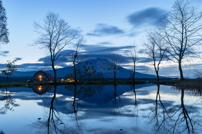 在日本山桥藤川口湖附近前的蓝日出天带干树的藤山反射图片