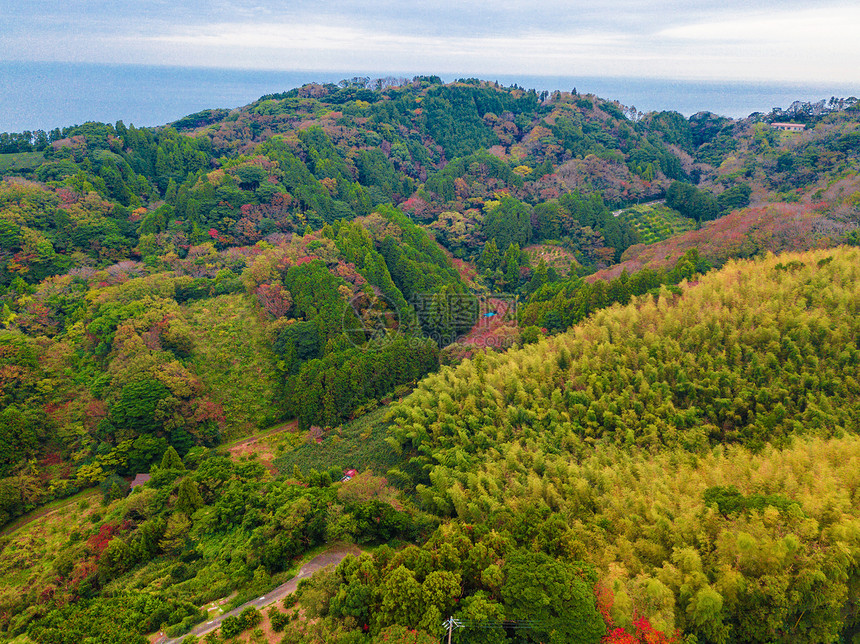 秋天红叶的空中景象日本山上的树木绿色农村地区或土自然景观背图片