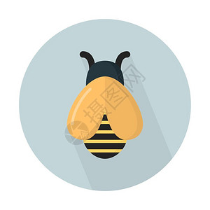蜜蜂飞昆虫图片
