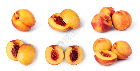 一组桃子桃子果实在白色背景上隔离桃子果实背景
