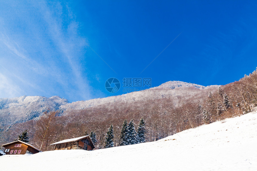 美丽的冬天背景图片