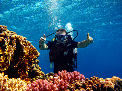 第一次在珊瑚礁附近的红海中与教官一起浸泡在水中珊瑚礁附近的红海中背景图片