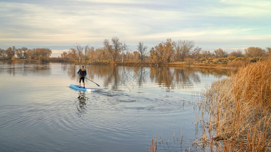 男球员在秋天晚的风景中在一个平静的湖上划起一个赛车站在桨板上水高清图片素材