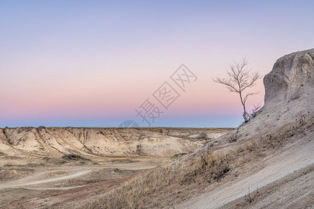 波尼全国草原的寒冬黄昏过荒地带着一棵孤单的树图片