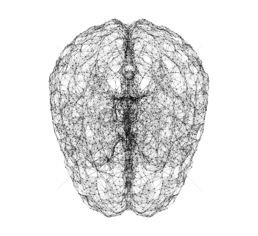 以人造技术和医学概念智能为形式的白背景孤立人类大脑数字据和网络连接图片