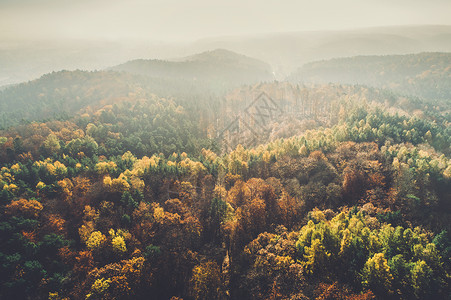 自然秋季森林绿色环境秋季森林景观空中图片