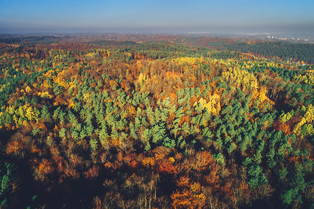 空中观赏阳光秋天森林景观野生绿色环境阳光空中观赏秋天森林图片