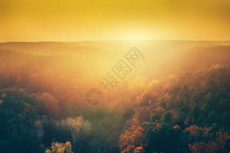 空中观察太阳在森林上方秋自然景观空中察太阳在森林上方图片
