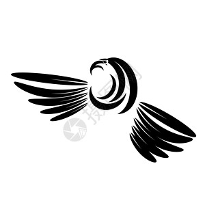 卡通鹰Eagle头纹图设计LogoPrey鸟类孤立在白地上Logo鸟类背景