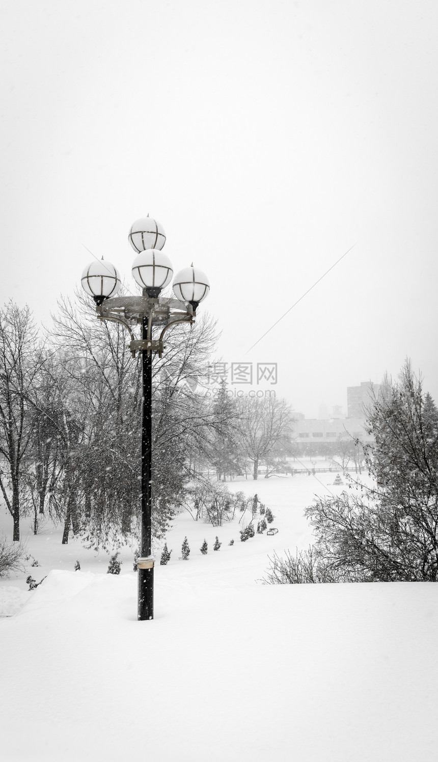 雪公园图片