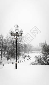 雪公园背景图片