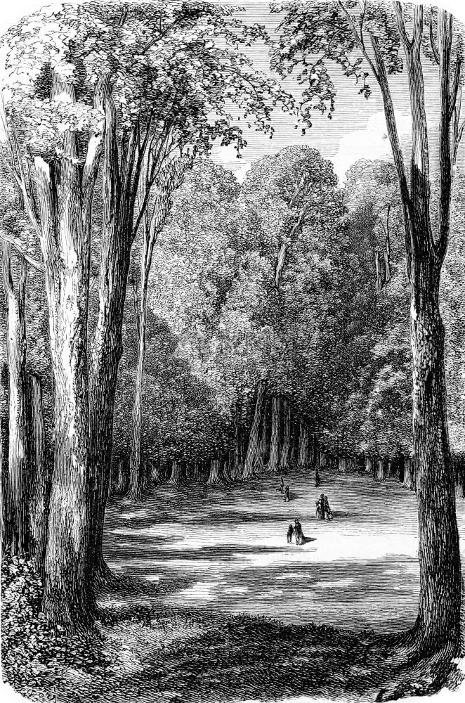 德国巴登符腾堡卡尔斯鲁厄公园的卡尔斯鲁厄公园1876年生态化学家的古典雕刻图片
