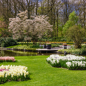 丰富多彩的春正式花园背景图片