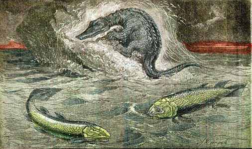 从鱼类向爬行动物的过渡古老刻画图从自然创造和人类图片