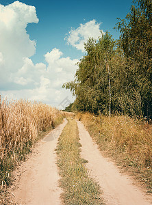 乡村道路图片