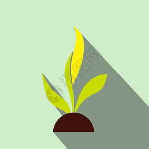 植物树苗平面图标图片