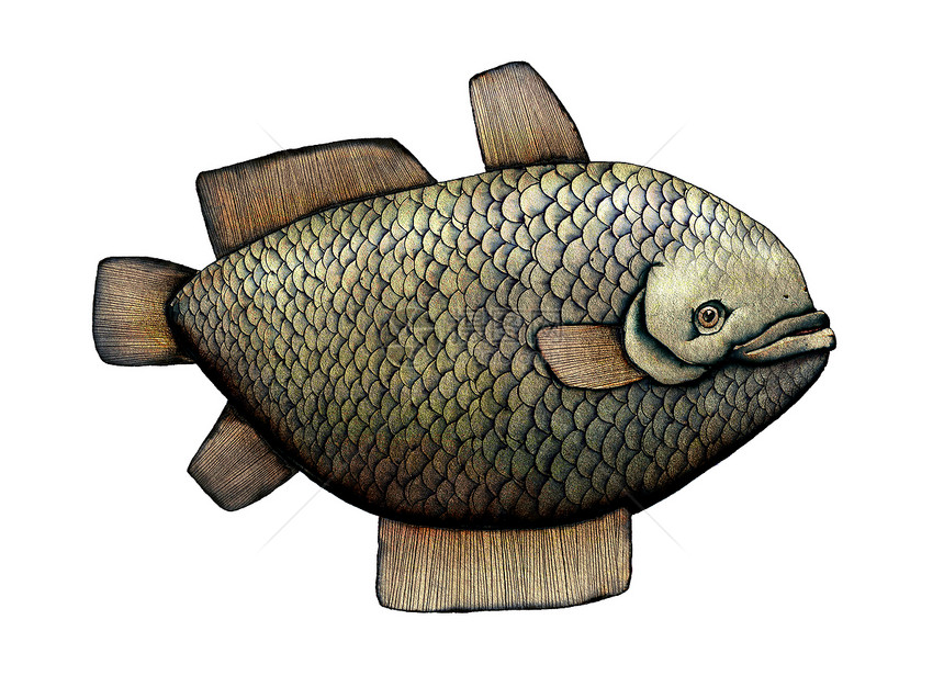 鱼艺术彩色插图图片