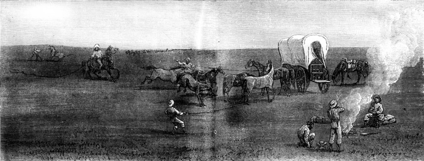 远处的牧群随行古老的雕刻插图旅行杂志18790年图片